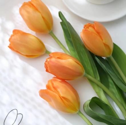 【某朴价6折】方德郁金香烈焰5支，明媚的橙红色，十分耀眼（另购鲜花保鲜剂，可延长1倍花期）
