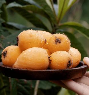 【蕞便宜】【核心产区】书峰枇杷约3斤装