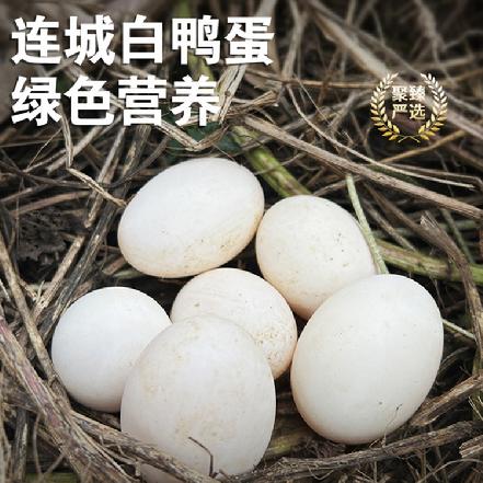 （周三发货）【国家地理标志】【现捡现发】连城白鹜鸭蛋10枚装，蛋黄细腻，蛋白Q弹，无腥味