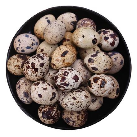 【农场直供】【0抗生素】”蛋品佳人”鹌鹑蛋约240g（24枚）蛋清粘稠，蛋黄绵密，