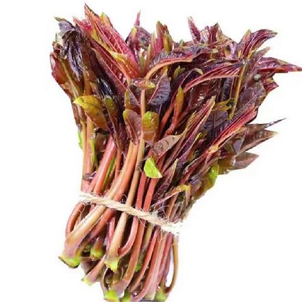 【优质食材】【春菜】鲜鲜嫩香椿芽100g±5g，香味独特/柔嫩鲜美/开胃爽口