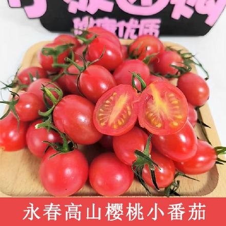 【农户直采】永春高山樱桃小番茄500g（皮薄多汁，会爆浆的“樱桃”，给你初恋般的酸甜）