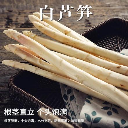 【基地直采】【优质食材】“好预灶”山东白芦笋500±20g，口感滑嫩，细腻，咀嚼是甘甜清香。