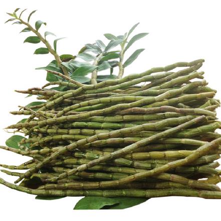 【某朴5折】【炖汤佳品】新鲜铁皮石斛150g，榨汁煲汤，清除毒素，滋阴润肺，降火祛燥