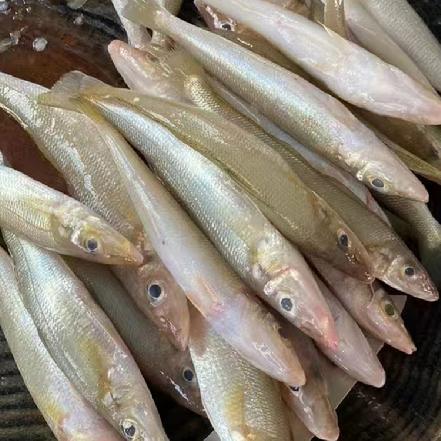 【量少好货】野生海捕大梭子鱼（杀好430g±20g，约11条）可做酱油水、香煎油炸、煮汤特鲜甜