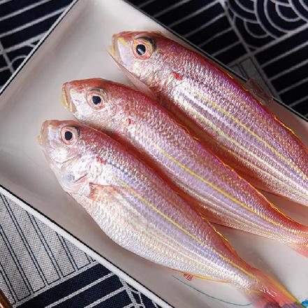 【量少好货】野生海捕金线鱼约450g±30g，4条/份，（已杀好，肉质鲜嫩）