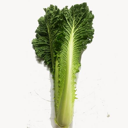 【无农药.】【孩子爱吃 】竹筒白约350g/份，（非常甜口感和霜冻后的芥菜一样甜好吃）