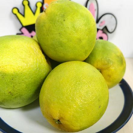 【树上熟】【农家直采】平和新鲜现摘甜橙（农家种植，不打药，不催熟，个别花皮，很甜）