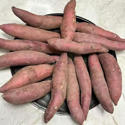 【小象鼎级】【某初7折】【高端地瓜】“岳运”红瑶地瓜（日本品种，红薯界的天花板，甜度≥50+，粉糯香甜）