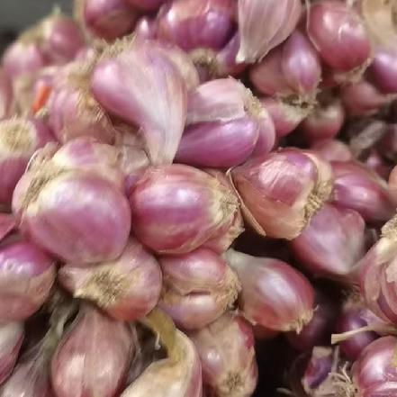 【优质食材】干红葱头（葱香浓郁，配菜佳品，熬葱油，做配料）
