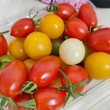 【超好吃】【自然成熟】爆汁玉女多彩小番茄250g（绿脂玉、紫水晶、琥珀 、凤珠，四个品种混装）