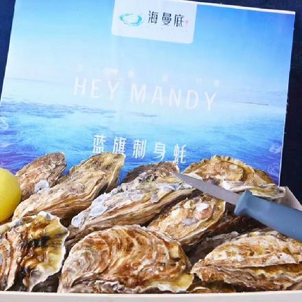 周日发货【小象鼎级】【可刺身可清蒸】“海曼底”蓝旗刺身生蚝约5斤，台湾岩蚝，大个，每个约3-4两