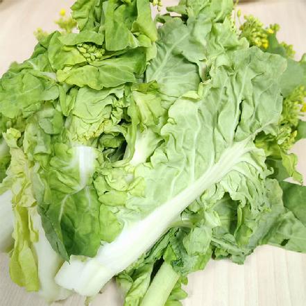 【无农药.】白菜苔约350g/份。（梗要去皮吃）有机肥种植，不使用任何化学农药、除草剂、激素