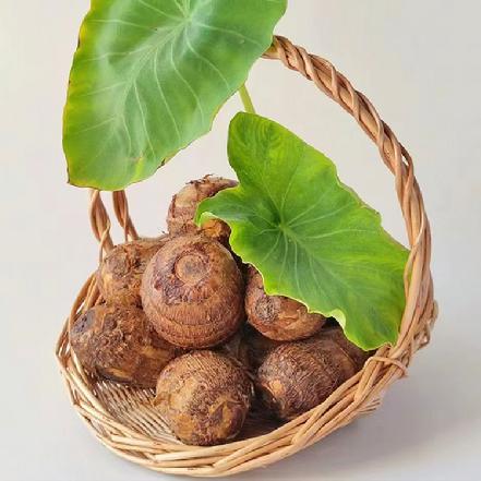 周一送货【果农直采】农家现挖白芽芋2斤±50g，香糯营养，口感细腻，绵软柔滑