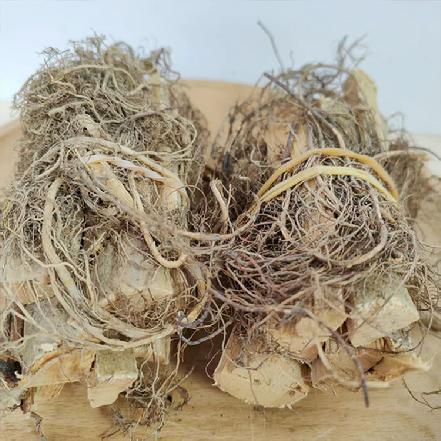 【优质食材】【炖汤佳品】牛奶根约100g（清肝润肺，祛湿化滞，炖排骨、猪蹄、鸡鸭，特别鲜美）