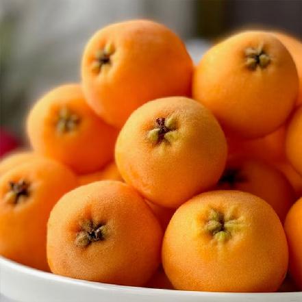 【树上熟】云南枇杷大果，都是树上黄才摘