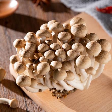 【优质食材】新鲜蟹味菇150g