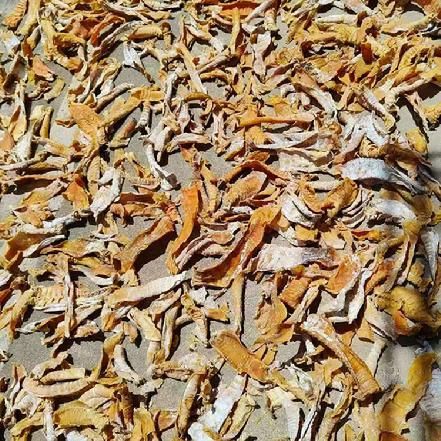 【农家纯手工】新笋干250g（当季新货，农家自然晒干，高山野生春笋制作，质嫩肉厚）