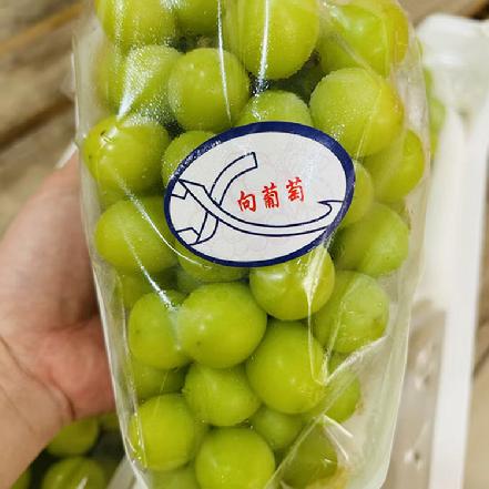 周三送货【又脆又甜】香印阳光玫瑰精品果（1.7斤起订），皮薄、肉厚、爽口 ？？ 口感无敌棒