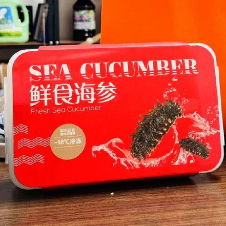 周三送货【小象鼎级】大连鲜食海参，（8头/约450g）口感Q弹，营养丰富，肉质肥硕适合冬季滋补