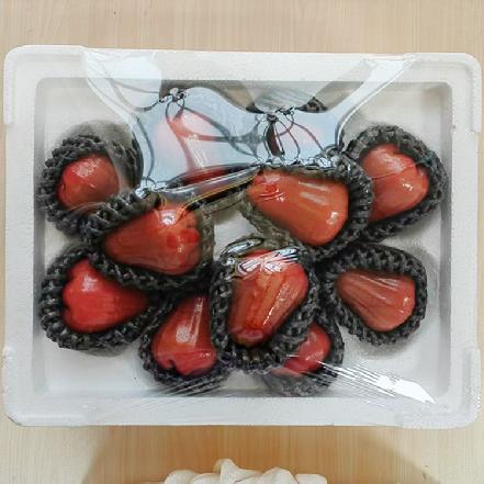 【月卡朴朴价6折，质量更优】海南黑金刚莲雾（小果）约1.9斤±100g，很新鲜，清甜好吃