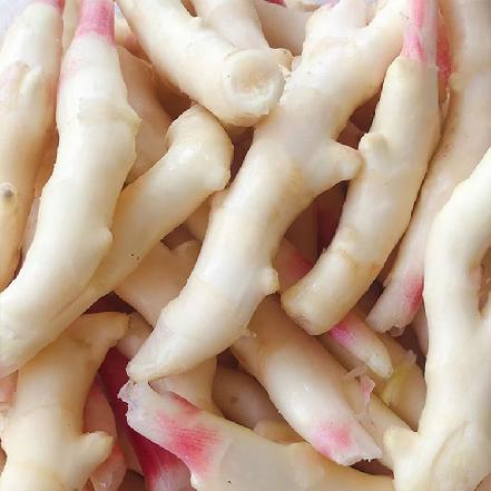 【优质食材】红芽嫩姜（鲜嫩脆，醋泡嫩姜，酱腌酱等开胃小菜）