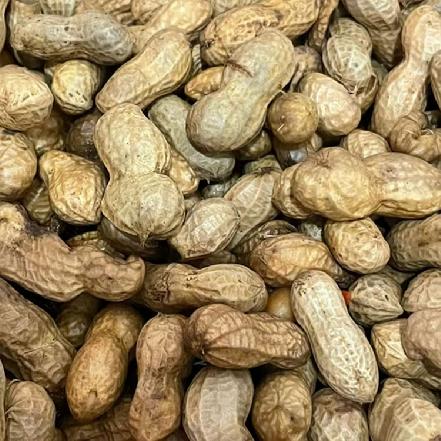 【某朴价6折，质量更优】农家水煮花生约250g（好吃不上火，越嚼越香）