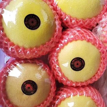 【新品秒杀】红肉葡萄柚约400g±50g，柔嫩多汁，略有香气