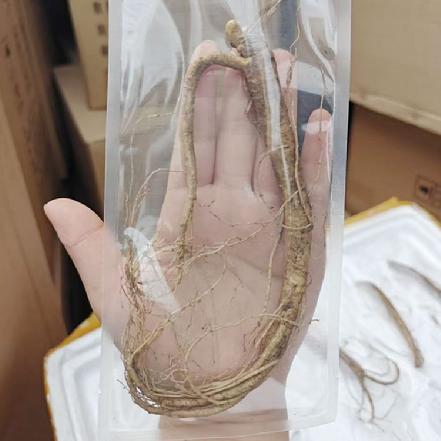 周六送货【秒杀】长白山4-5年人参月15g/根