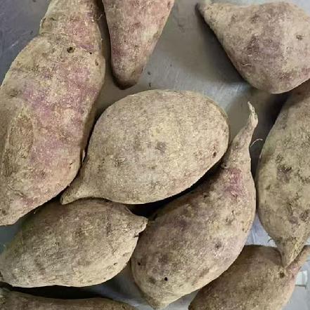 【无农药.】小个地瓜，迷你版（1斤6-9个）