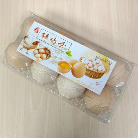 【月卡享真正蕞低价】【更新鲜】精选优质鸡蛋8枚/盒约（450-500g）（限购1盒，多拍也是发1盒）