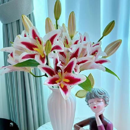 【市价5折】【本周新品】笑脸百合（3头），像一个个咧着嘴笑的小太阳（另购鲜花保鲜剂，可延长1倍花期）