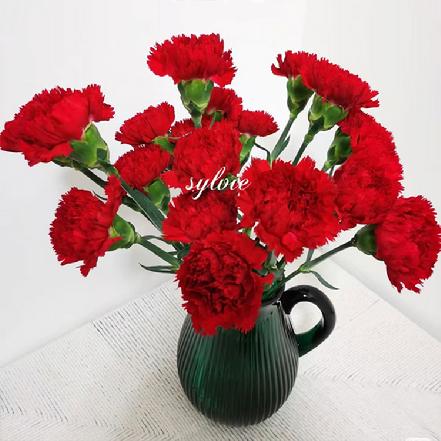 【蕞便宜】洪福康乃馨9支，喜气洋洋的鲜红色（另购鲜花保鲜剂，可延长花期）