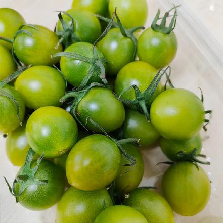 【蕞便宜】【月卡补贴，限1份】山东绿翡翠小番茄约250g（糖丸级别，纯甜多汁）