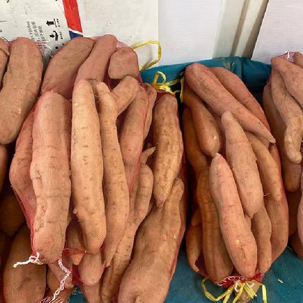 【新疆特色】【农家种植】正宗新疆新鲜现挖地瓜（好吃的特色地瓜，板栗+蜜薯的双重彩蛋）