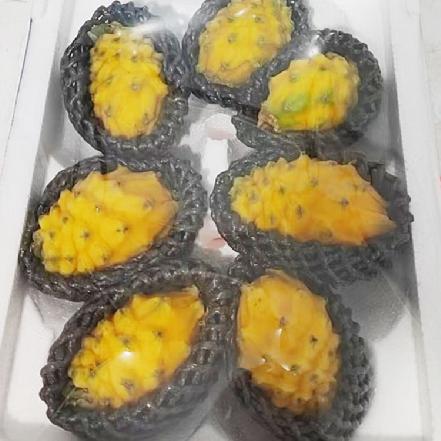 【树上熟】海南树熟燕窝果约1.9斤±50g，长在树上的冰糖燕窝，果肉透白细腻