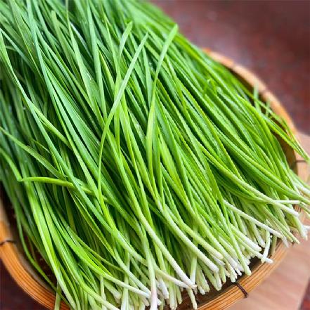 【优质食材】农家新鲜韭菜300g