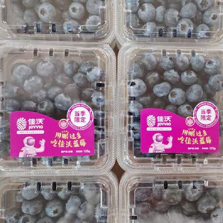 【蕞便宜】【月卡补贴，限1份】佳沃蓝莓125g±10g，(多拍也是发1盒)酸甜可口，果粉足，很新鲜，14+的果径