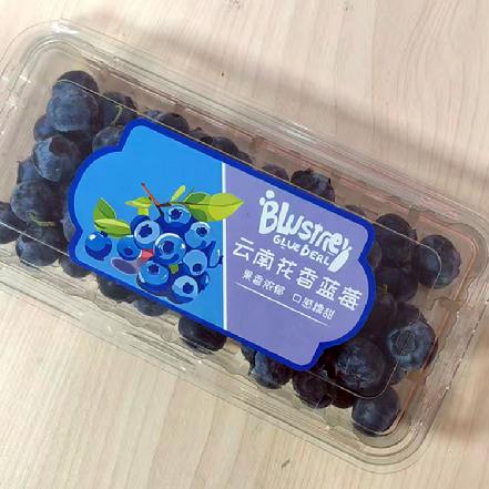 【小象鼎级】【产地直发】【性价比高】云南蓝莓18+纯甜250g（特别好吃脆甜的，闭眼入）