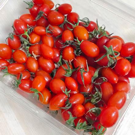 【基地直采】【阳光味道】盐咸地台湾珍珠玉女樱桃小番茄250g，拇指大小，很甜，超好吃，一口一个