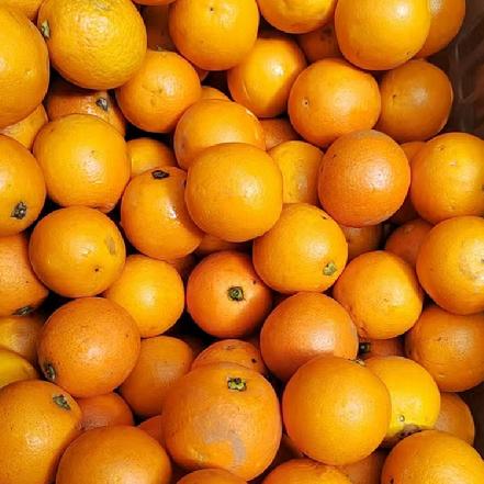 【蕞便宜】【月卡补贴，限购1】云南冰糖橙，中小果，约500g±50g，很甜 