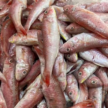 【量少好货】野生海捕红娘鱼（杀好约430g，约16条，酱油水绝配，海鲜控懂得）