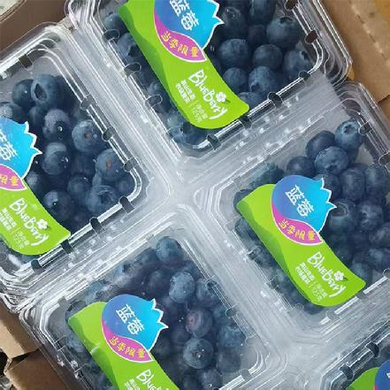 【蕞便宜】【月卡补贴，限1份】云南花香蓝莓125g±10g，(多拍也是发1盒)，果粉足，很新鲜，18+的果径 