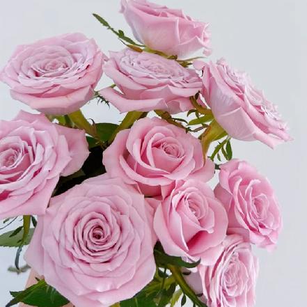 【最便宜】甜蜜曼塔玫瑰1支，粉灰紫色调，自带高级复古感，很有层次感（另购鲜花保鲜剂，可延长1倍花期）