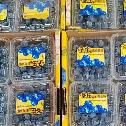 【蕞便宜】【月卡补贴，限1份】云南花香蓝莓18+，125g±10g，果粉足，很新鲜(多拍也是发1盒)