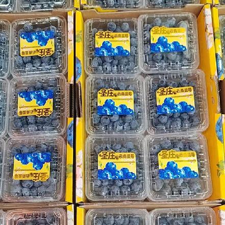 【蕞便宜】【月卡补贴，限购1】云南蓝莓14+，（包装随机）果粉足，很新鲜，约125g±10g，(限购1）