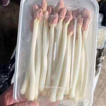【优质食材】花生苗约200g