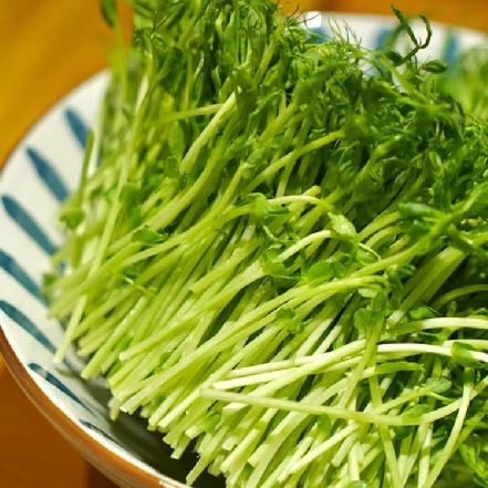 【优质食材】豆苗约200g