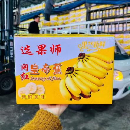周五送货【软糯香甜】网红皇帝蕉净重约4.5-4.8斤，带箱约5-5.3斤